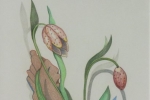 fein_flower in the garden_colored pencil