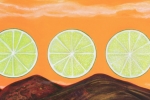 fein_rolling limes
