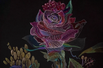fein_Rose_Garden-copy