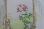 fein_rose in the window_cp_web